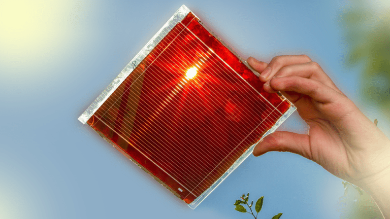 ● Perovskite Solar Cells
