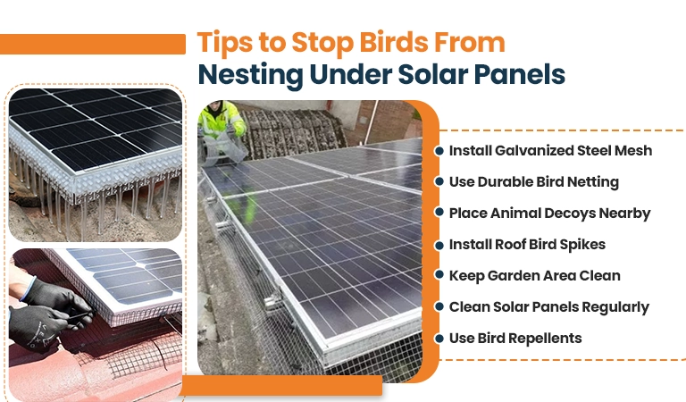 tips stop birds from nesting under a solar energy system